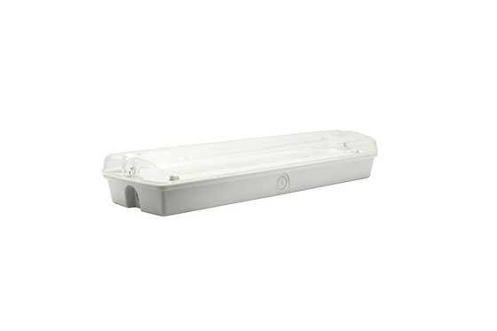 IP65 1.5-3W ไฟฉายฉุกเฉิน LED แอนด์บัลคิว AC 220V วัสดุ ABS